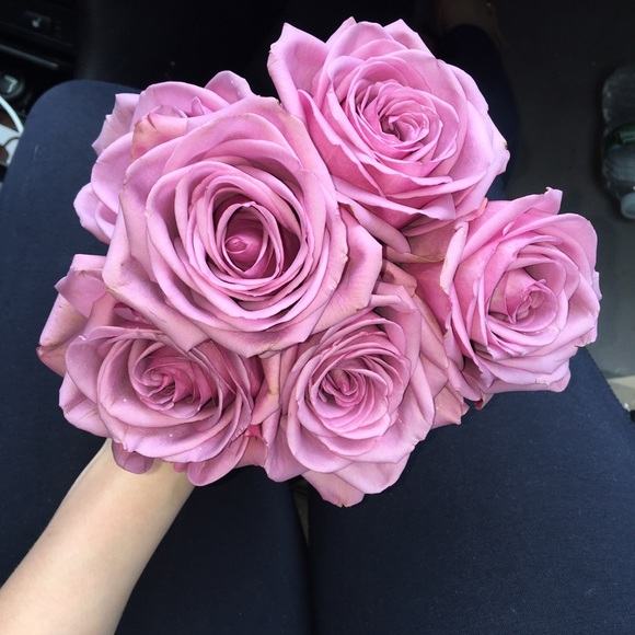 Meet your Posher, Natalia - Picture 1 of 1